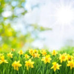 How Many Days Away Is Spring